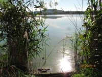 IMG_2540.jpg, 31kB
